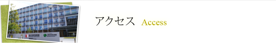 アクセス