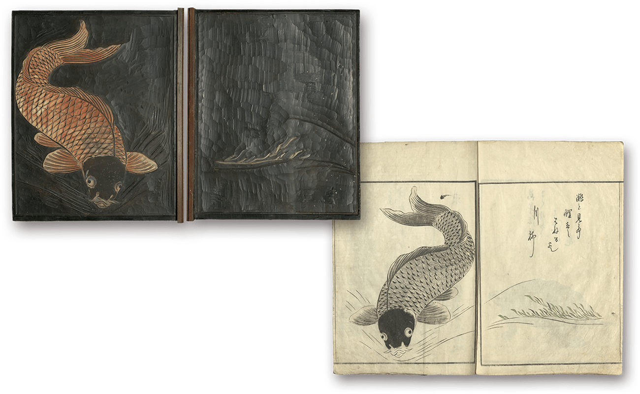 Gyokaifu no Hangi to Gyokaifu - 魚貝譜の版木と魚貝譜