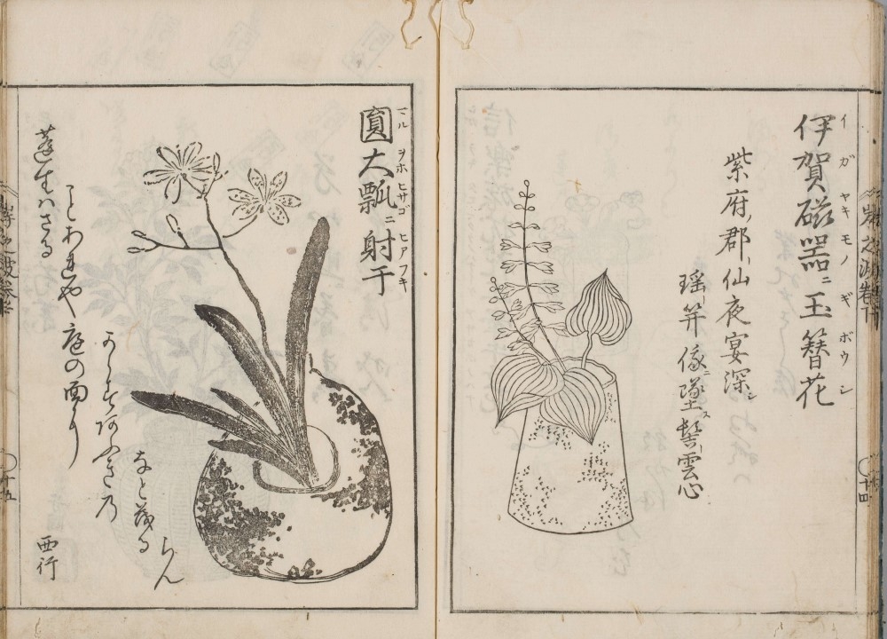 『抛入岸の波』